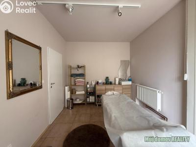 Rent commercial properties Praha, Devonská č. 15