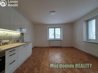 Аренда квартиры 1+KK Praha, U stojanu č. 1