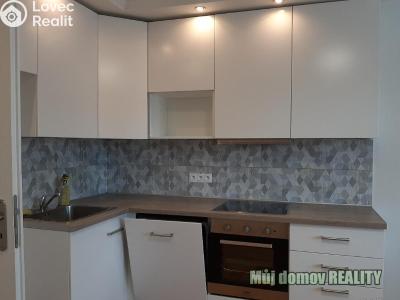 Аренда квартиры 1+KK Praha, U stojanu č. 2