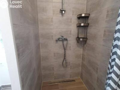 Аренда квартиры 1+KK Praha, U stojanu č. 4