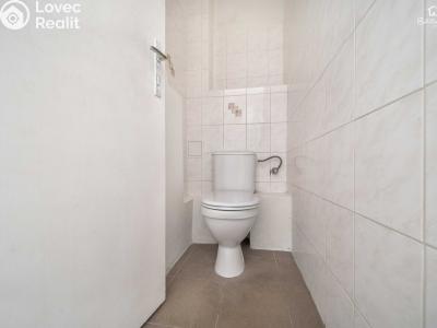 Продаж квартири 3+KK Praha, Lípová č. 13