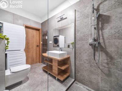 Продажа квартиры 3+KK Plzeň, Dobrovského č. 4