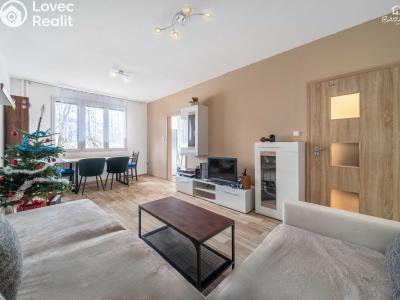 Prodej bytu 2+1 Plzeň, Tichá č. 4