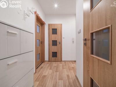 Продажа квартиры 2+1 Plzeň, Tichá č. 13