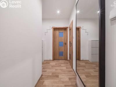 Продажа квартиры 2+1 Plzeň, Tichá č. 15