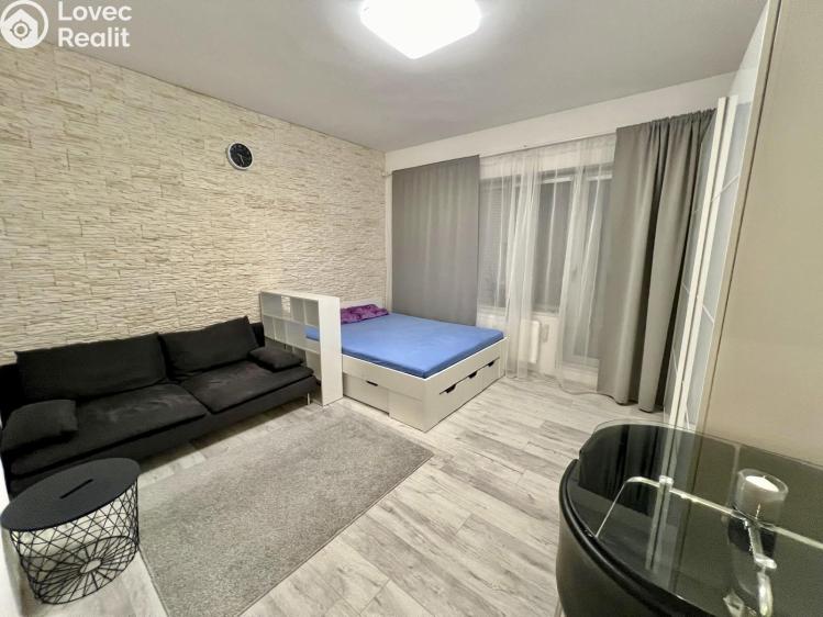 Pronájem bytu 1+KK Praha č. 6