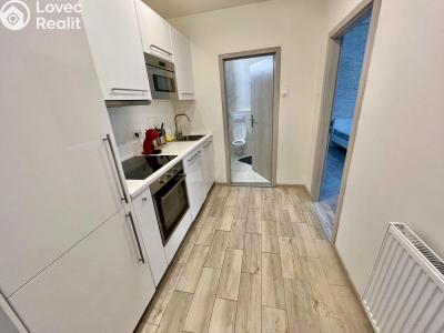 Pronájem bytu 1+KK Praha č. 2