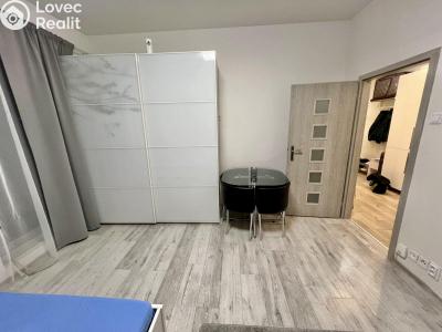 Pronájem bytu 1+KK Praha č. 4