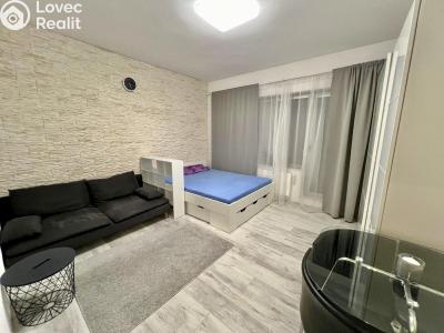 Pronájem bytu 1+KK Praha č. 6