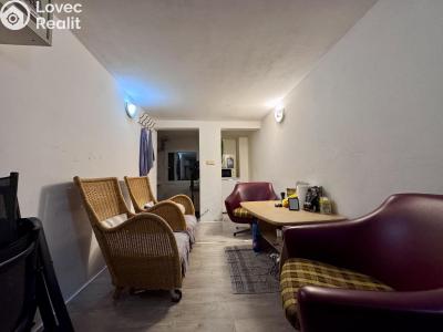 Rent commercial space Praha, Pod Kotlaskou č. 7