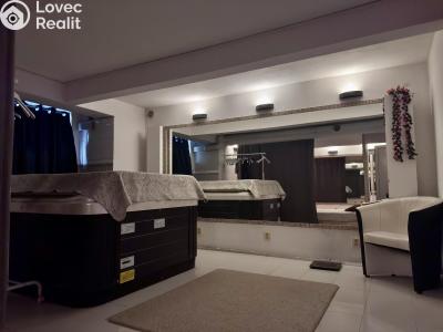 Rent commercial space Praha, Pod Kotlaskou č. 10