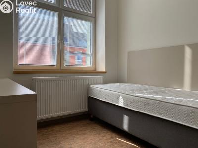 Оренда квартири 1+KK Praha, Křížová č. 1