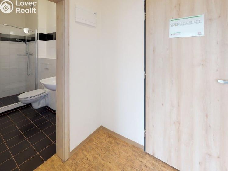 Оренда квартири 1+KK Praha, Křížová č. 5