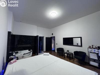 Rent commercial space Praha, Václavské náměstí č. 12
