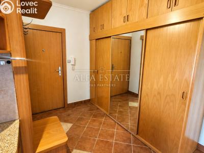 Pronájem bytu 2+1 Karlovy Vary, Krušnohorská č. 4