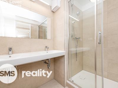 Pronájem bytu 4+KK Praha, Tomáškova č. 2