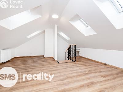 Pronájem bytu 4+KK Praha, Tomáškova č. 5