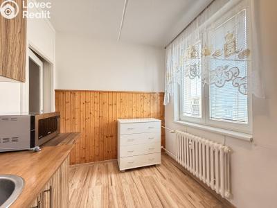 Pronájem bytu 3+1 České Budějovice, K. Štěcha č. 5