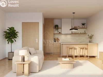 Prodej rodinného domu Borotín č. 5