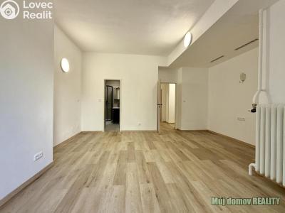 Prodej bytu 1+1 Praha, 5. května č. 2