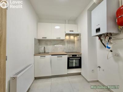 Prodej bytu 1+1 Praha, Hartigova č. 5