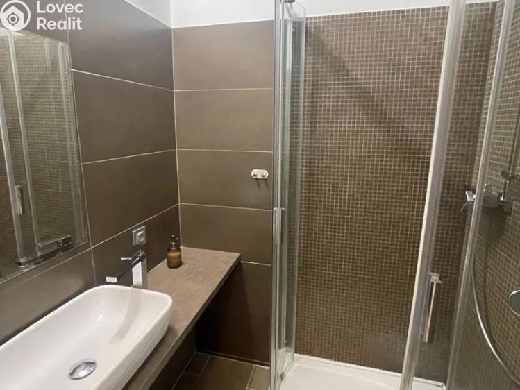 Pronájem bytu 2+1 Praha, Tejnická č. 6