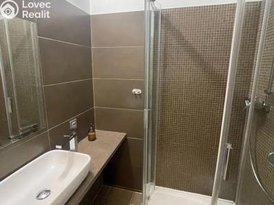 Pronájem bytu 2+1 Praha, Tejnická č. 6