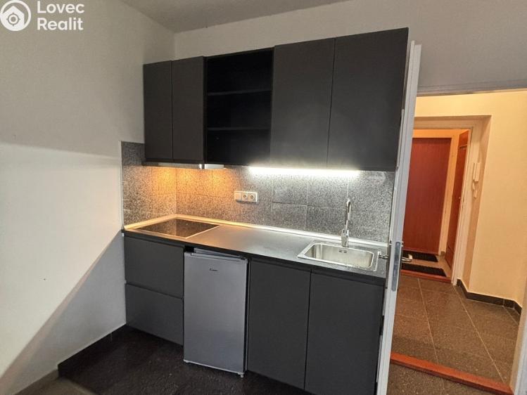 Pronájem bytu 1+KK Praha, Freyova č. 1