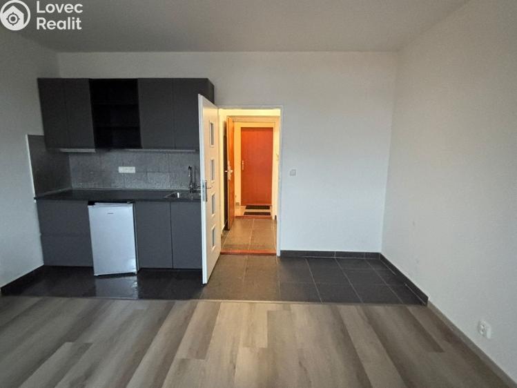 Pronájem bytu 1+KK Praha, Freyova č. 4