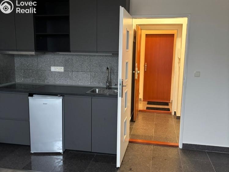 Pronájem bytu 1+KK Praha, Freyova č. 6