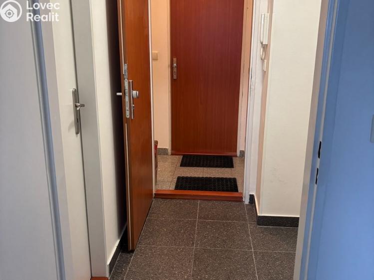 Pronájem bytu 1+KK Praha, Freyova č. 12