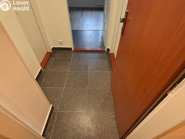 Pronájem bytu 1+KK Praha, Freyova č. 14