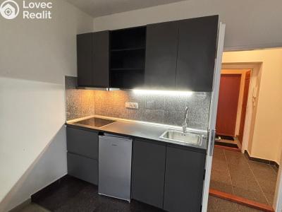 Pronájem bytu 1+KK Praha, Freyova č. 1