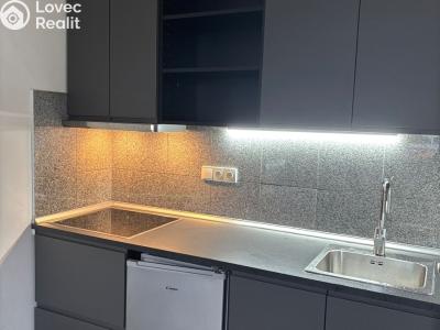 Pronájem bytu 1+KK Praha, Freyova č. 5