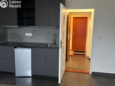 Pronájem bytu 1+KK Praha, Freyova č. 6