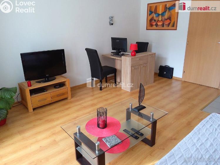 Pronájem bytu 1+KK Karlovy Vary, Nejdlova č. 8