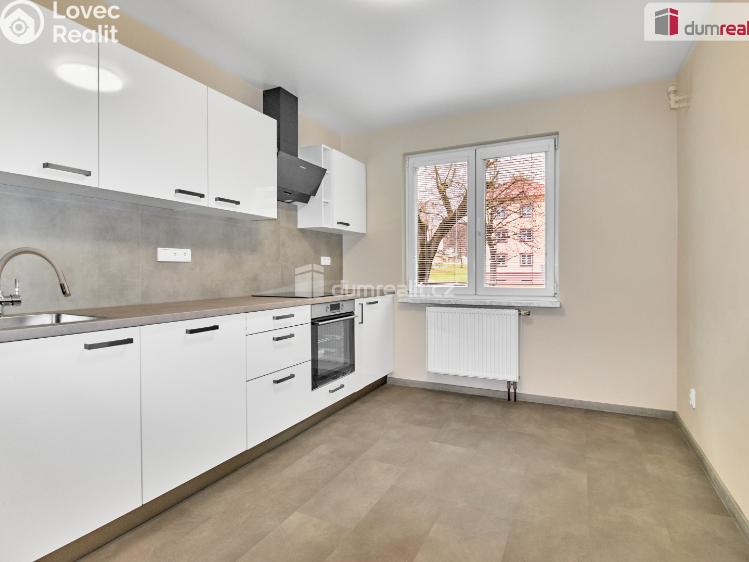 Pronájem bytu 2+1 Ostrov, Mánesova č. 8