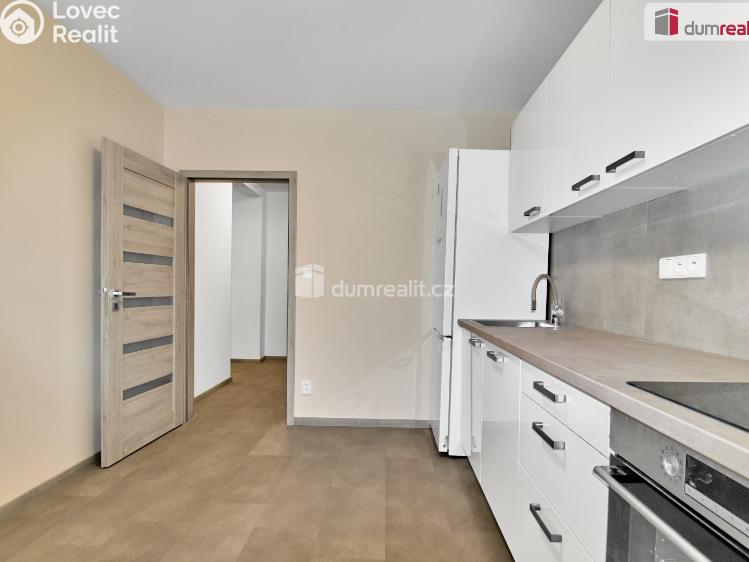 Pronájem bytu 2+1 Ostrov, Mánesova č. 9