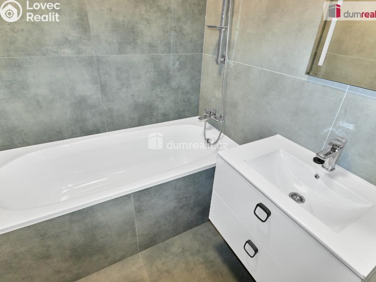 Pronájem bytu 2+1 Ostrov, Mánesova č. 11