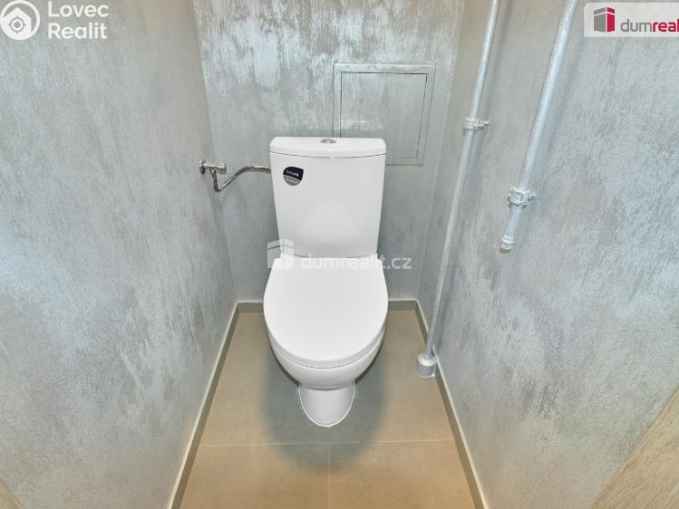 Pronájem bytu 2+1 Ostrov, Mánesova č. 12