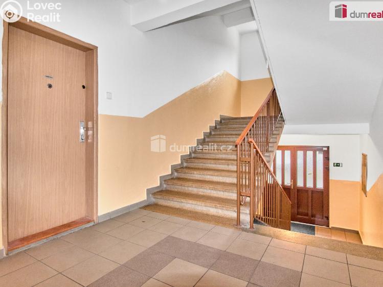 Pronájem bytu 2+1 Ostrov, Mánesova č. 13