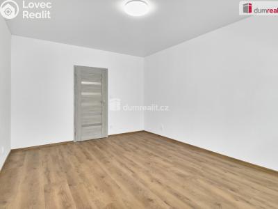 Pronájem bytu 2+1 Ostrov, Mánesova č. 3