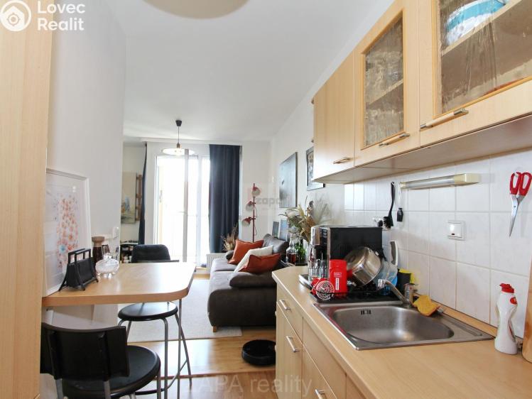 Pronájem bytu 1+1 Praha, Wiedermannova 1406/4 č. 4