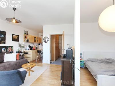 Pronájem bytu 1+1 Praha, Wiedermannova č. 1