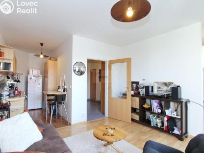 Pronájem bytu 1+1 Praha, Wiedermannova č. 2