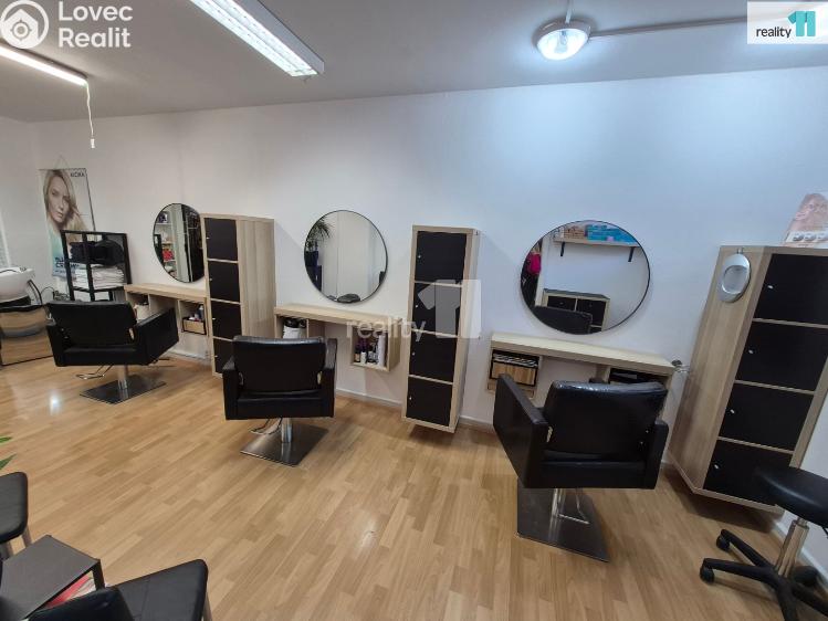 Rent commercial space Liberec, Moskevská č. 4