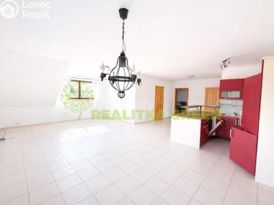 Pronájem rodinného domu Neubuz č. 5