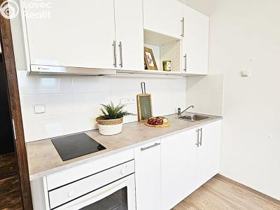 Rent apartment 1+KK Brno, Kytnerova č. 1