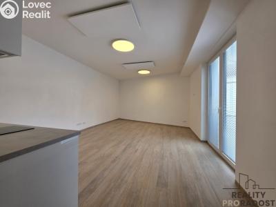Оренда квартири 1+KK Brno, Kytnerova č. 5
