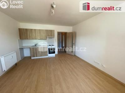 Pronájem bytu 1+KK Opava, Oblouková č. 2